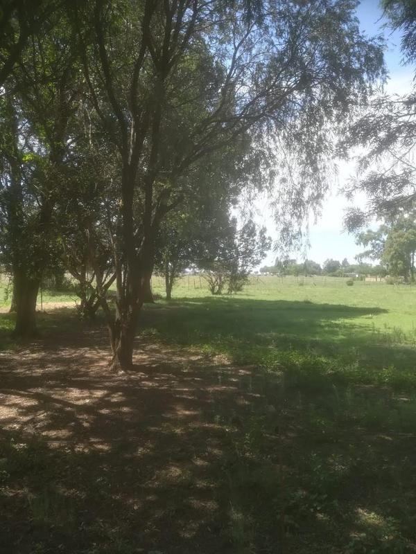 0 Bedroom Property for Sale in Roodia Free State